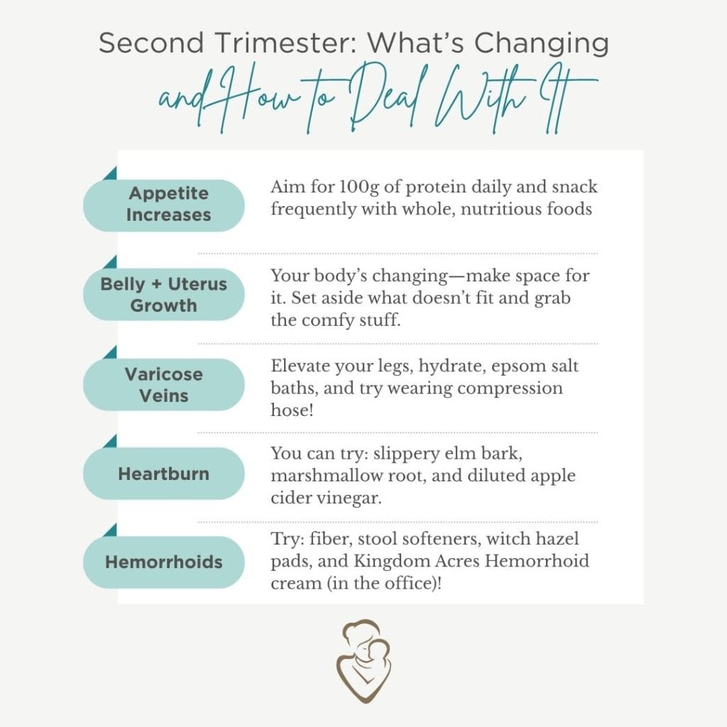 Second Trimester: What’s Changing and How to Deal with it